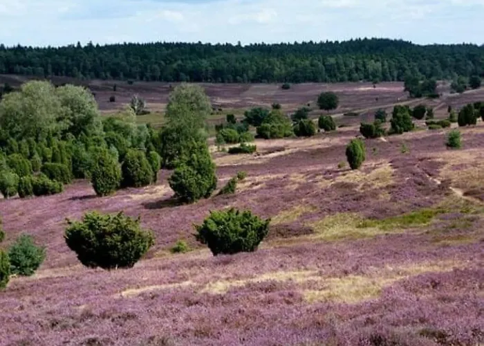 Amazing Near The Дом отдыха Hambuhren
