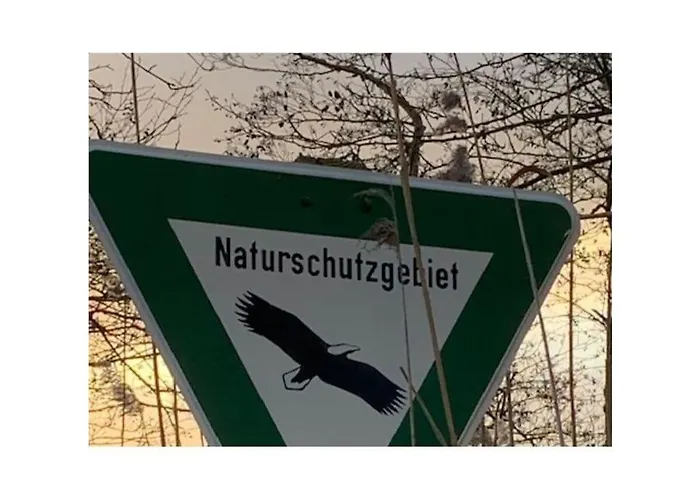 Amazing Near The Дом отдыха *